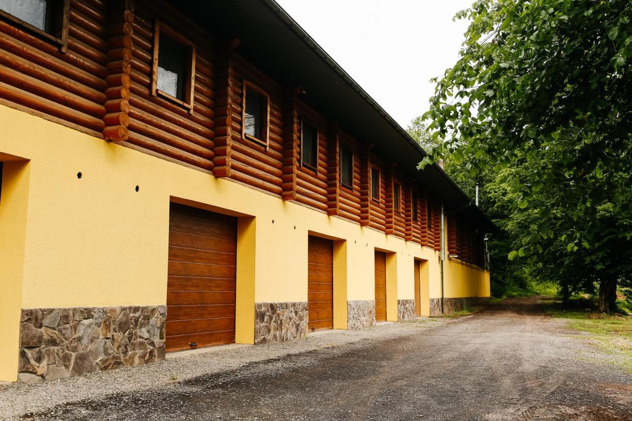 Chudodievo In Chynadievo Mini-Hotel Chynadiyovo 外观 照片