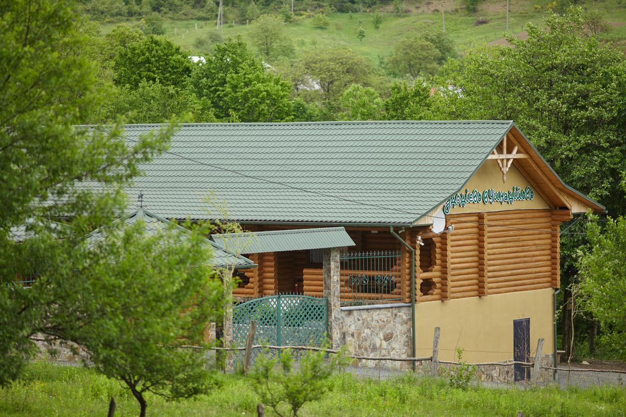 Chudodievo In Chynadievo Mini-Hotel Chynadiyovo 外观 照片